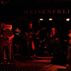 Meisenfrei 2012